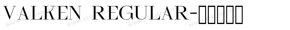 Valken Regular字体转换